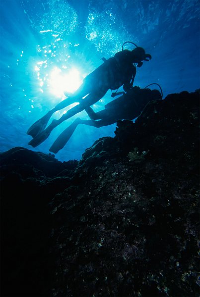 Diving the reef