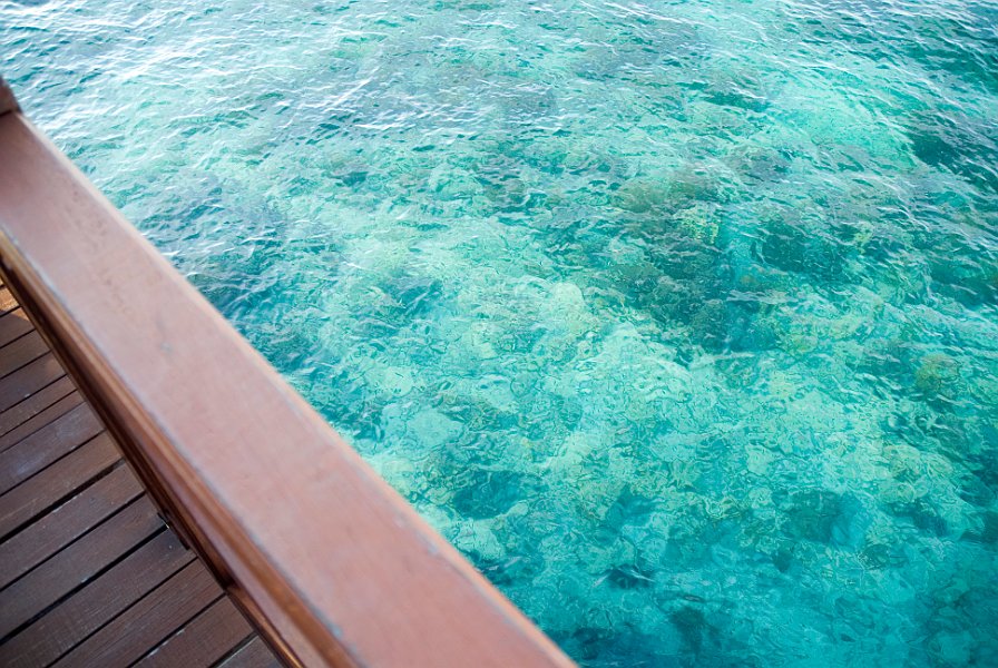 Tropical Water