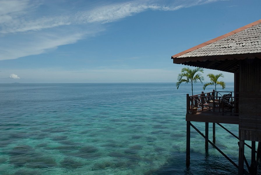 Tropical Water