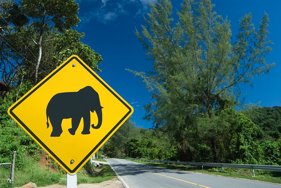 Elephant Sign